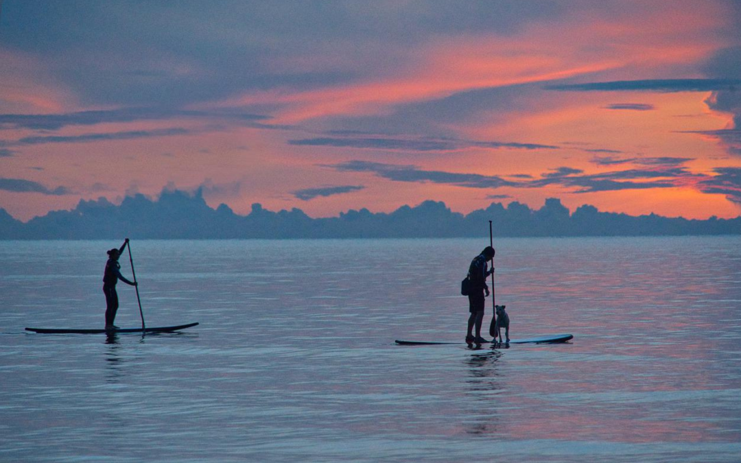 Lake Water Sports